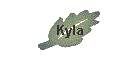 Kyla