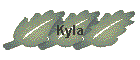 Kyla