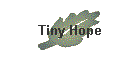 Tiny Hope