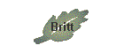 Britt
