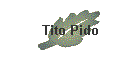Tito Pido